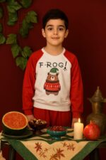 کد ۰۲۴۶ سایز ۳۵.۴۰ ست پسرانه طرح frog پارچه دورس